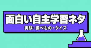 自主学習ネタ面白い60選｜実験・調べもの・クイズで人とかぶらない
