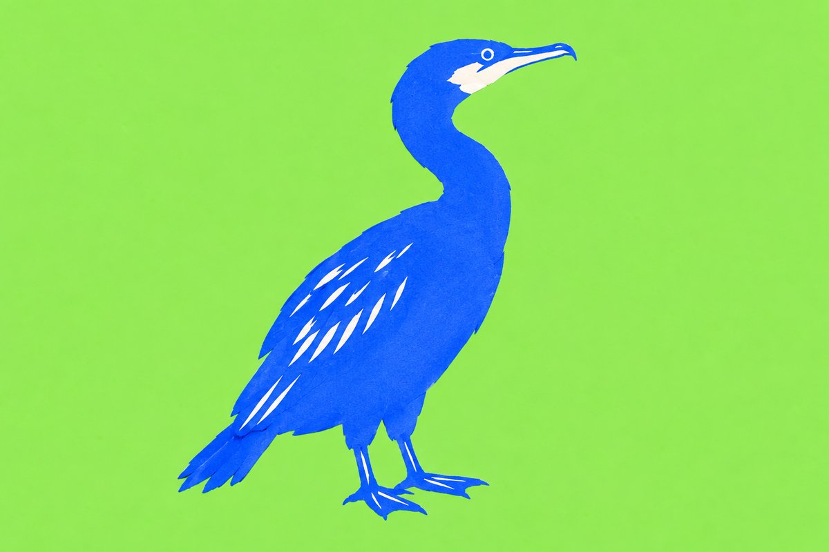 岐阜の公立通信制2校の入学選抜の節のイメージ。鵜(う)のイラスト