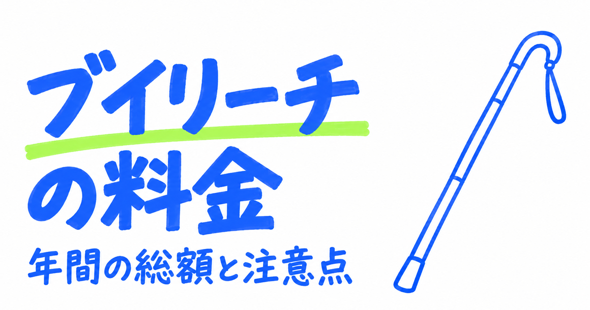 ブイリーチの料金|視覚障害のある子のオンライン個別指導・年間総額